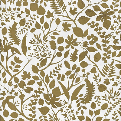 Обои Designers Guild Christian Lacroix Paradis Barbares PCL7025/01