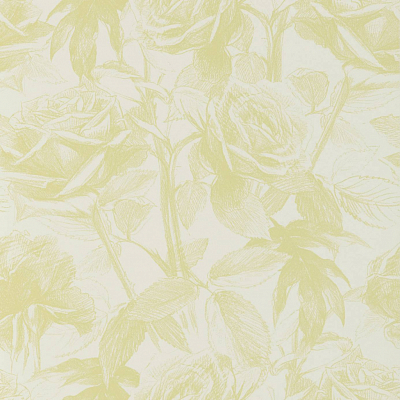 Обои Clarke&Clarke Floribunda W0037/08
