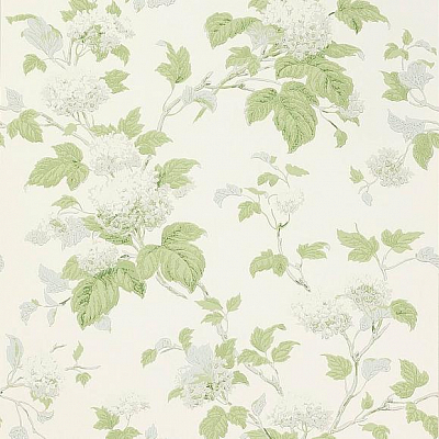 Обои бумажные Colefax and Fowler 07816/07 коллекции Jardine Florals