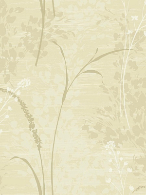 Обои Collins & Company Casa Blanca AW51015