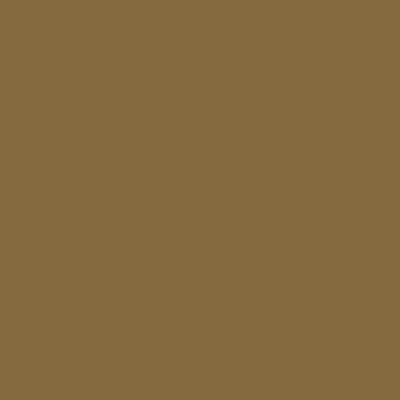 Краска Swiss Lake цвет Green brown RAL 8000