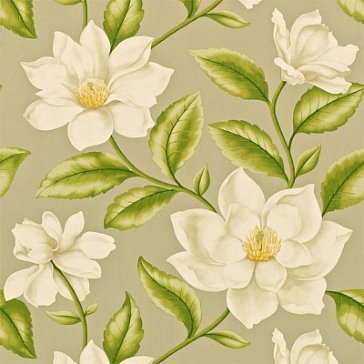 Обои Sanderson A Painters Garden DAPGGR104