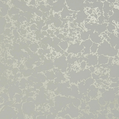 Обои Clarke&Clarke Botanica W0096/05