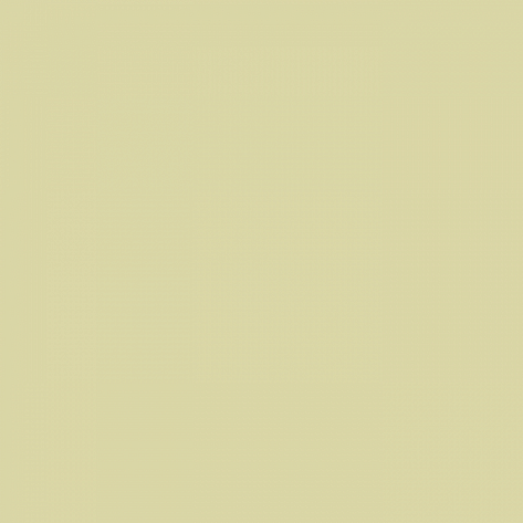 Краска Little Greene цвет Olive Oil 83