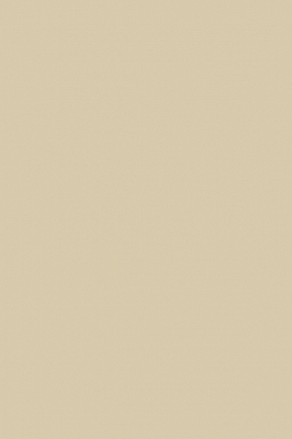 Краска Paint & Paper Library 265 Sand V