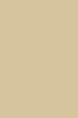 Краска Paint & Paper Library 505 Clay V