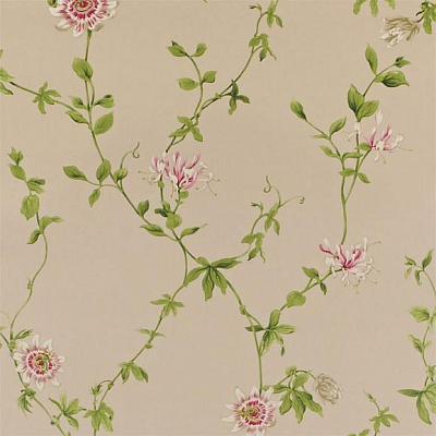 Обои Sanderson DPEMPF103 коллекции Pemberley