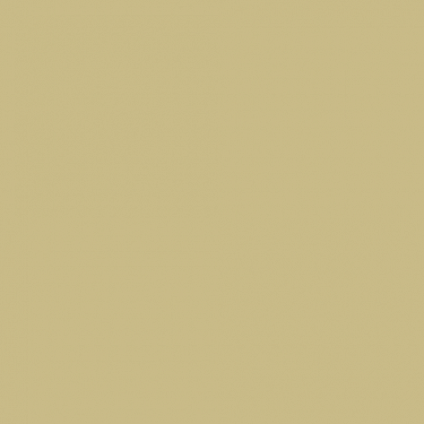 Краска Little Greene цвет Green beige RAL 1000