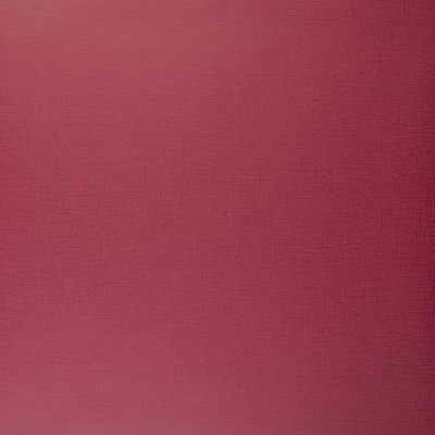 Обои Clarke&Clarke Showstoppers W0006/24