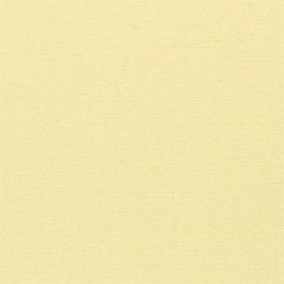 Обои Sanderson A Painters Garden DAPGLD101