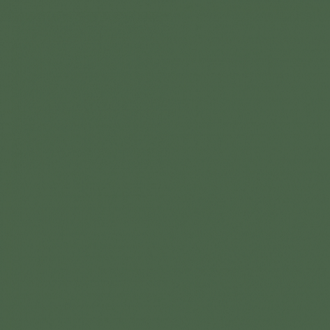 Краска Little Greene цвет Mid Brunswick Green 126