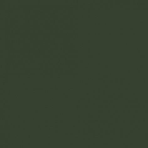Краска Little Greene цвет Chrome green RAL 6020