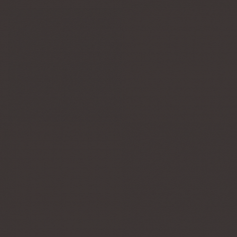 Краска Little Greene цвет Grey brown RAL 8019