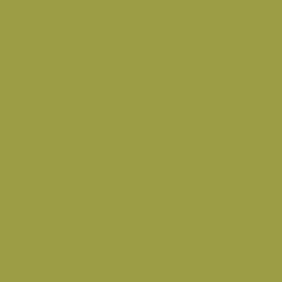 Краска Swiss Lake цвет Fir Green SL-2538