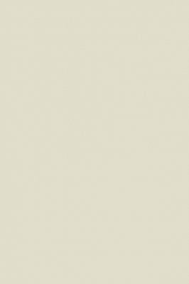Краска Paint & Paper Library 302 Canvas II
