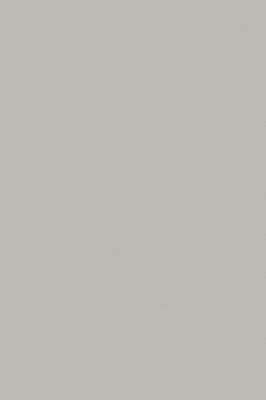 Краска Paint & Paper Library 335 Salt V