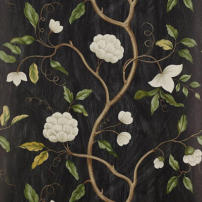 Обои бумажные Colefax and Fowler 07949/06 коллекции Jardine Florals