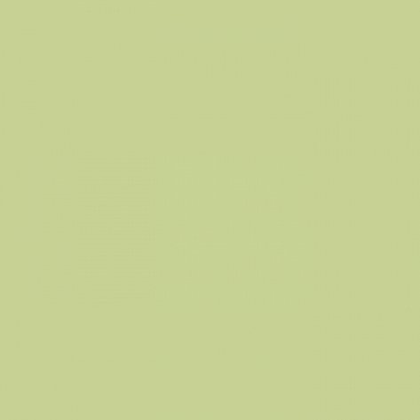 Краска Little Greene цвет Eau-de-Nil 90