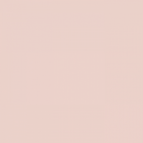 Краска Little Greene цвет Pink Slip 220