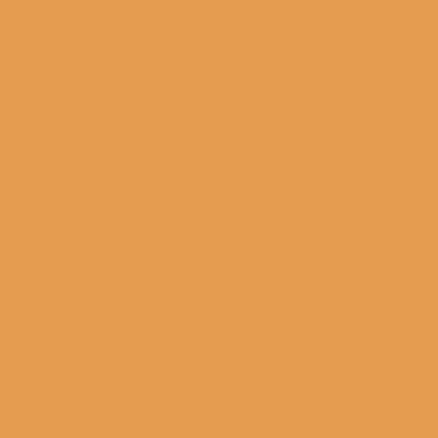Краска Swiss Lake цвет Pastel yellow RAL 1034
