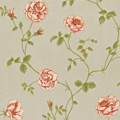 Обои Sanderson A Painters Garden DAPGRO103