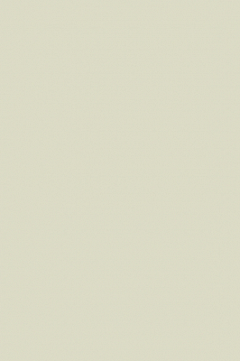 Краска Paint & Paper Library 563 Wattle III