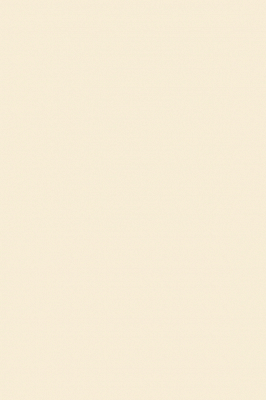 Краска Paint & Paper Library 432 Paper II