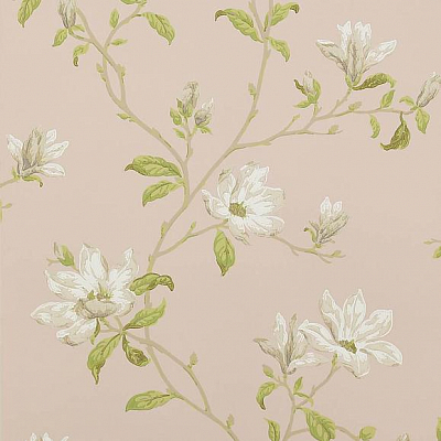 Обои бумажные Colefax and Fowler 07976/10 коллекции Jardine Florals