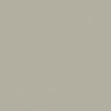 Краска Little Greene цвет Pebble grey RAL 7032
