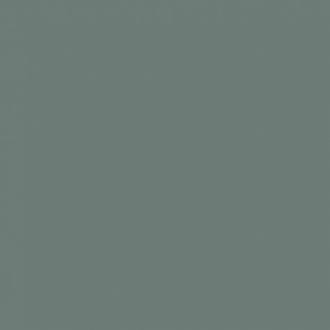 Краска Little Greene цвет Livid 263