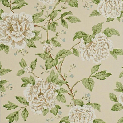 Обои Sanderson DPEMPT103 коллекции Pemberley