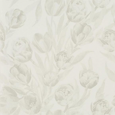 Флизелиновые Designers guild PDG685/06 коллекции Marquisette