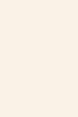 Краска Paint & Paper Library 401 Plaster I