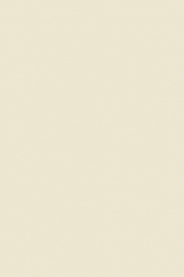 Краска Paint & Paper Library 263 Sand III