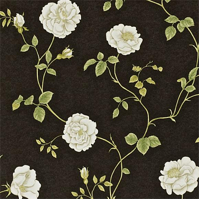 Обои Sanderson A Painters Garden DAPGRO104