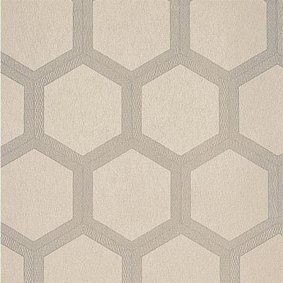 Флизелиновые Designers guild PDG1064/05 коллекции Zardozi