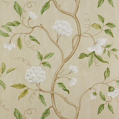 Обои бумажные Colefax and Fowler 07949/01 коллекции Jardine Florals