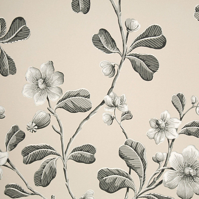 Обои Little Greene London Wallpapers 4 0277BRMONOZ