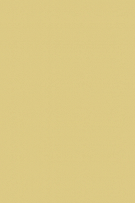 Краска Paint & Paper Library 519 Scallion