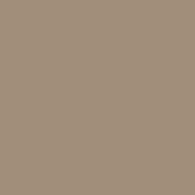 Краска Swiss Lake цвет Grey beige RAL 1019