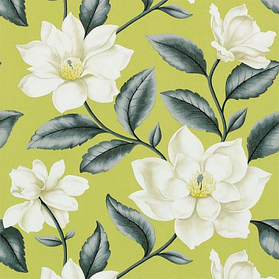 Обои Sanderson A Painters Garden DAPGGR101
