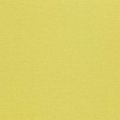 Обои Sanderson A Painters Garden DAPGLD104