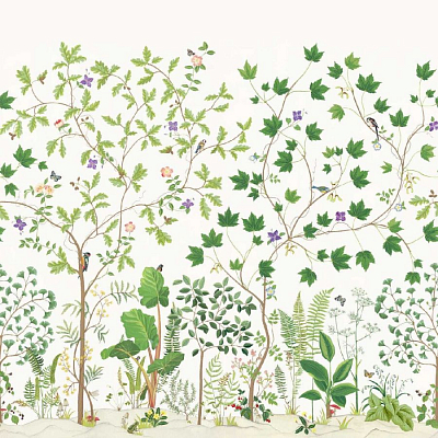 Обои Sanderson 217211 коллекции Arboretum