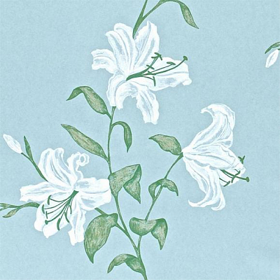 Обои Sanderson A Painters Garden DAPGSE103